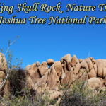 Hiking Skull Rock Nature Trail