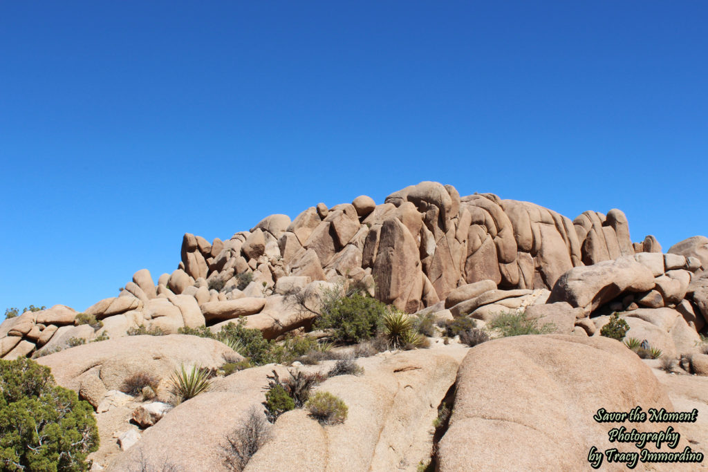 Skull Rock Nature Trail