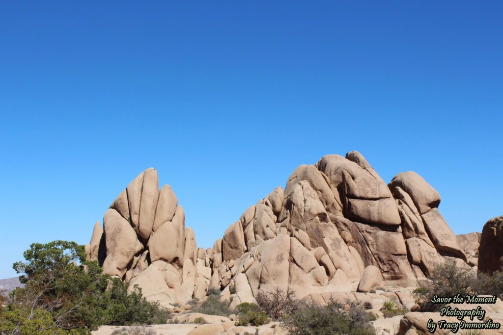 Skull Rock Nature Trail