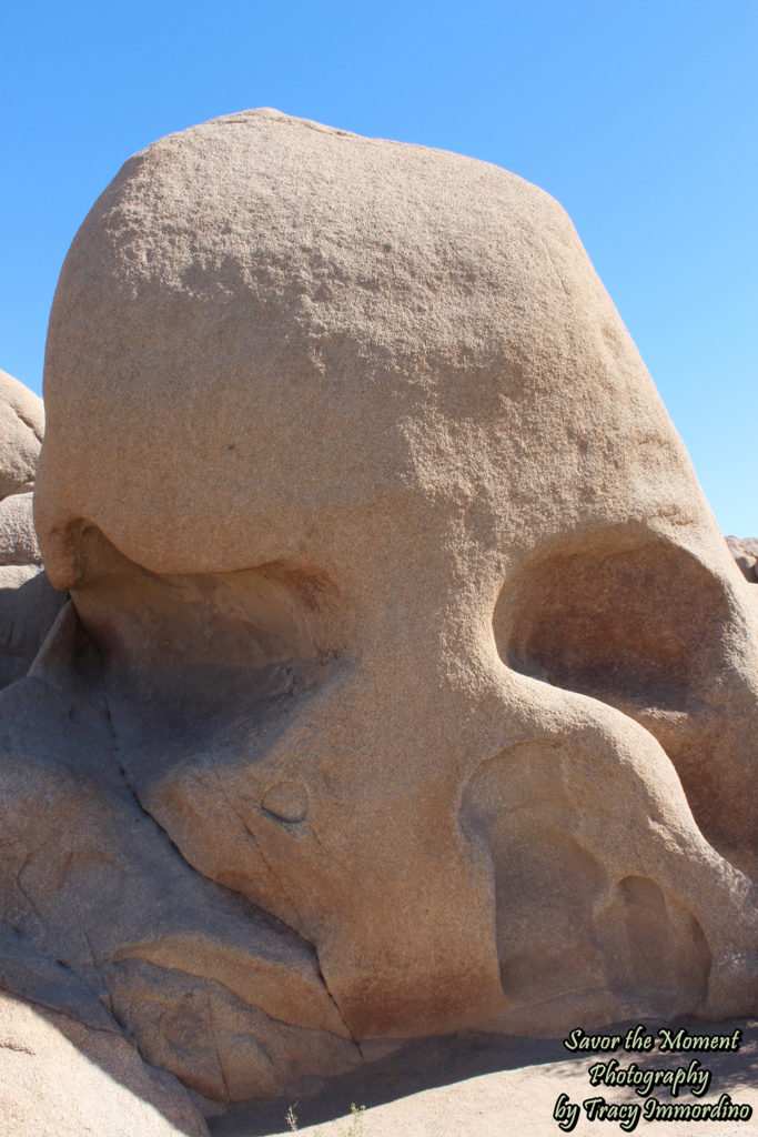 Skull Rock in Joshua Tree National Park