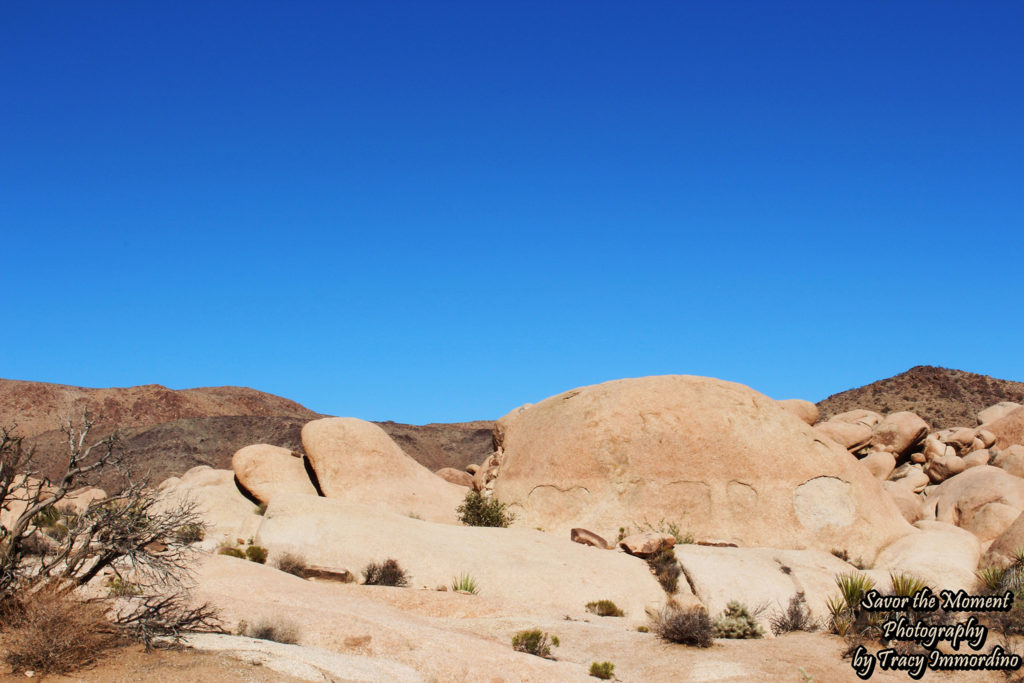 Turtle Rock on Arch Rock Nature Trail