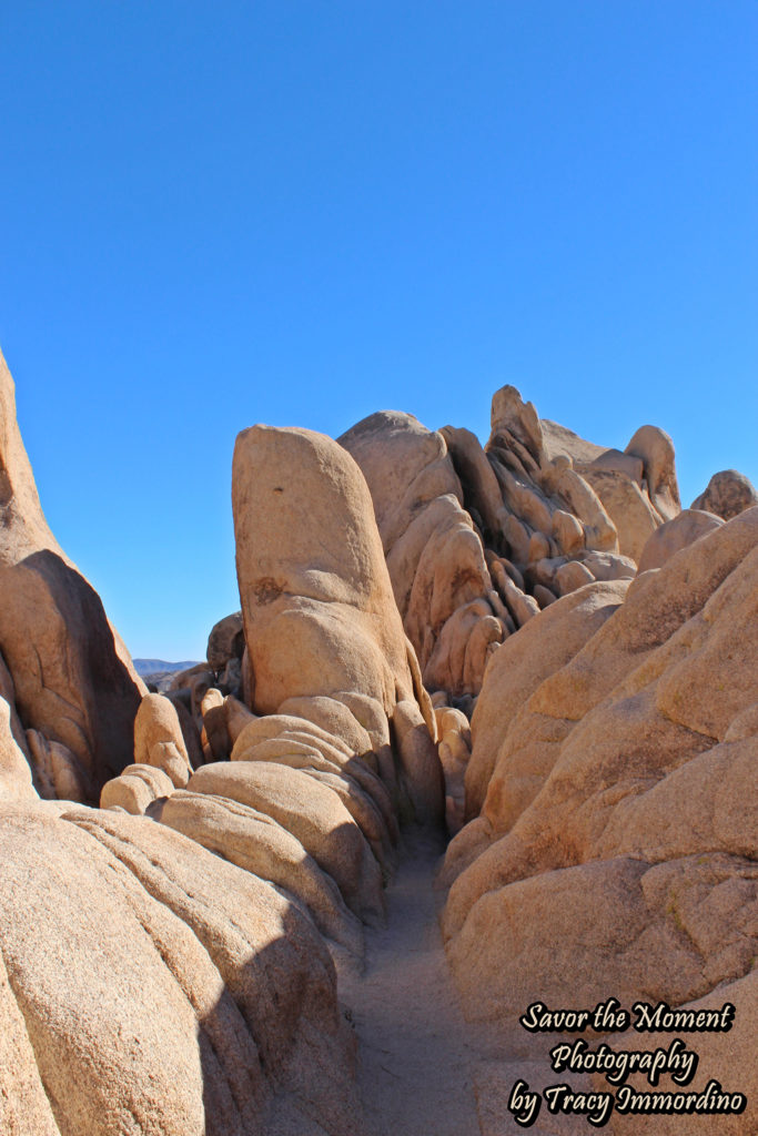 Arch Rock Nature Trail