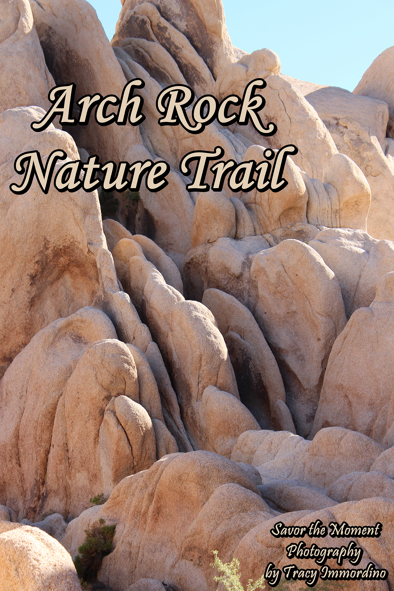 Hiking Arch Rock Nature Trail