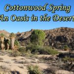 Cottonwood Spring Oasis