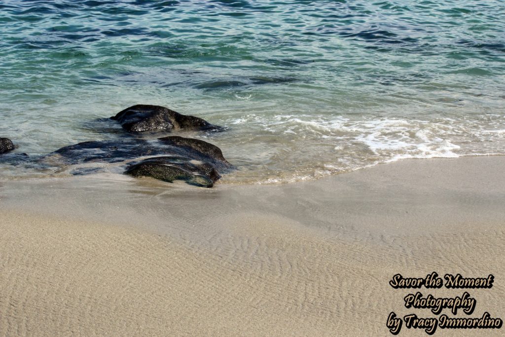 Sandy Shores in La Jolla