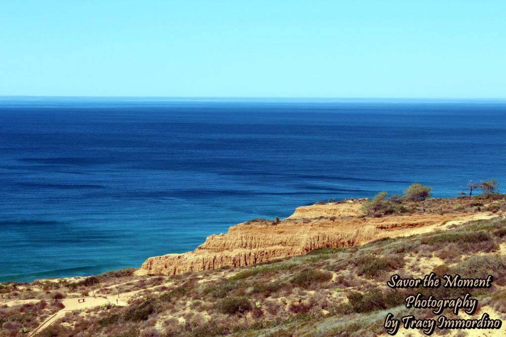 Torrey Pines State Natural Reserve