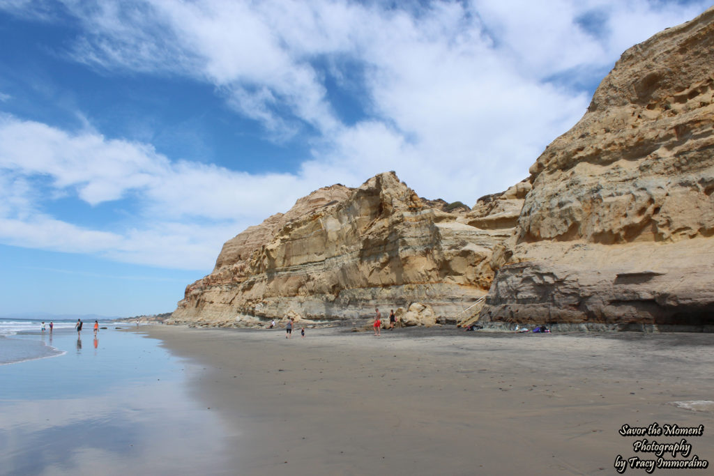 The Beach at Torrey Pines State Natural Reserve