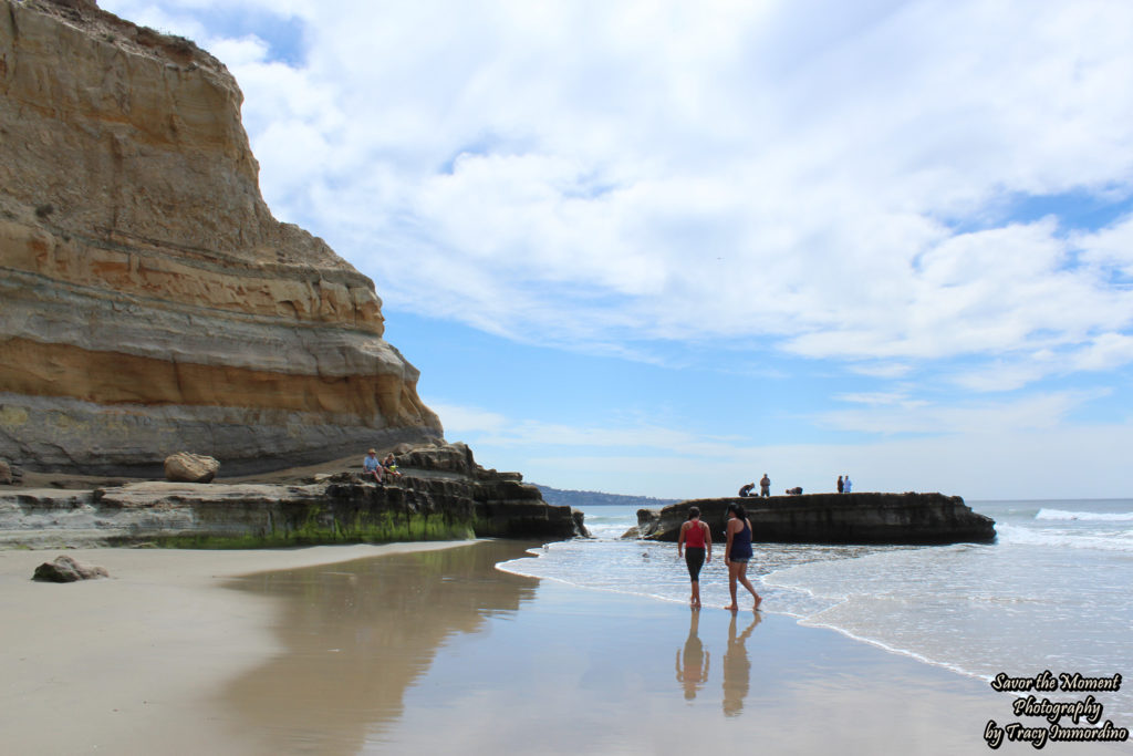 The Beach at Torrey Pines State Natural Reserve