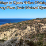 Visiting Torrey Pines State Natural Reserve