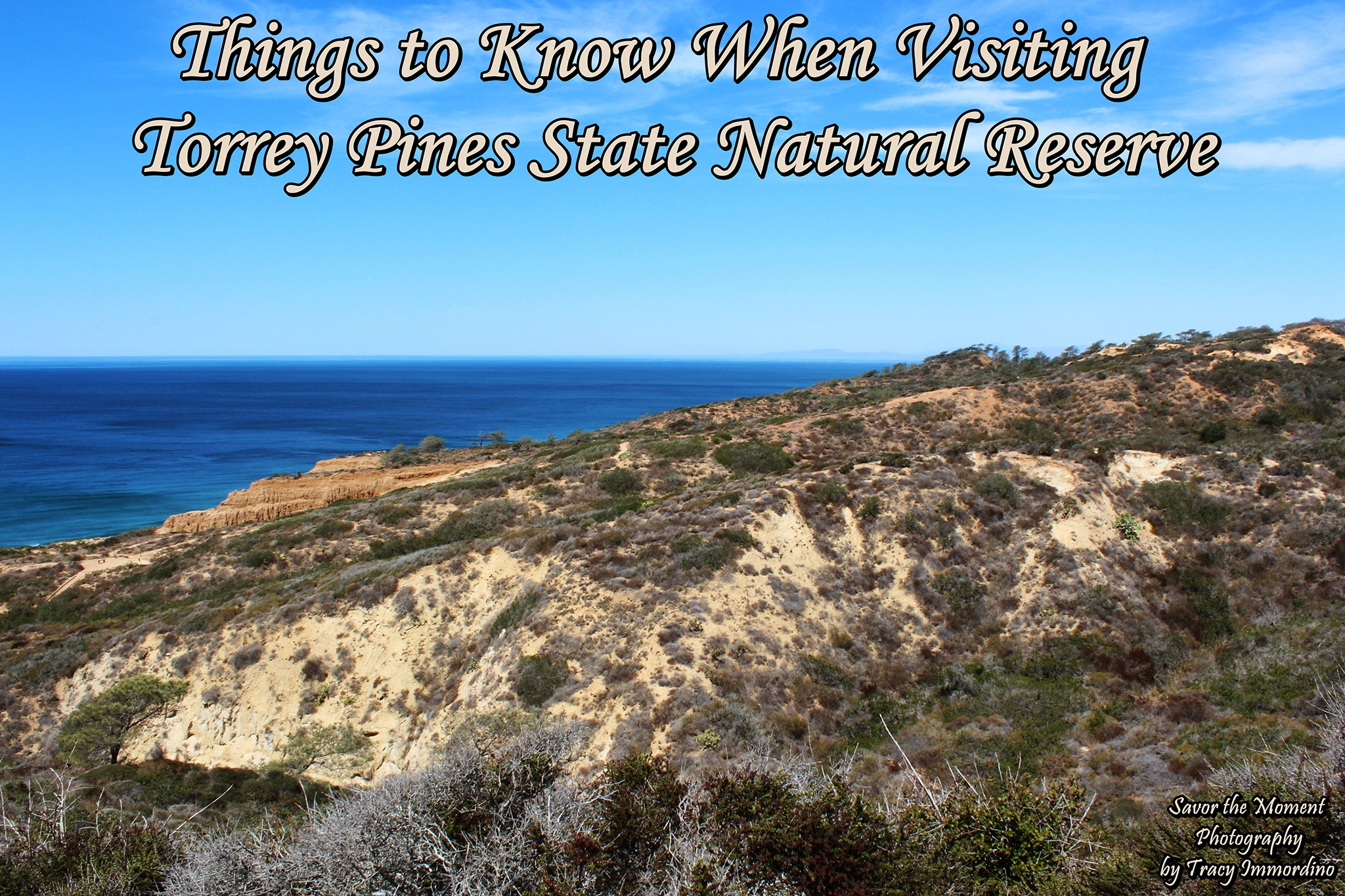 Visiting Torrey Pines State Natural Reserve