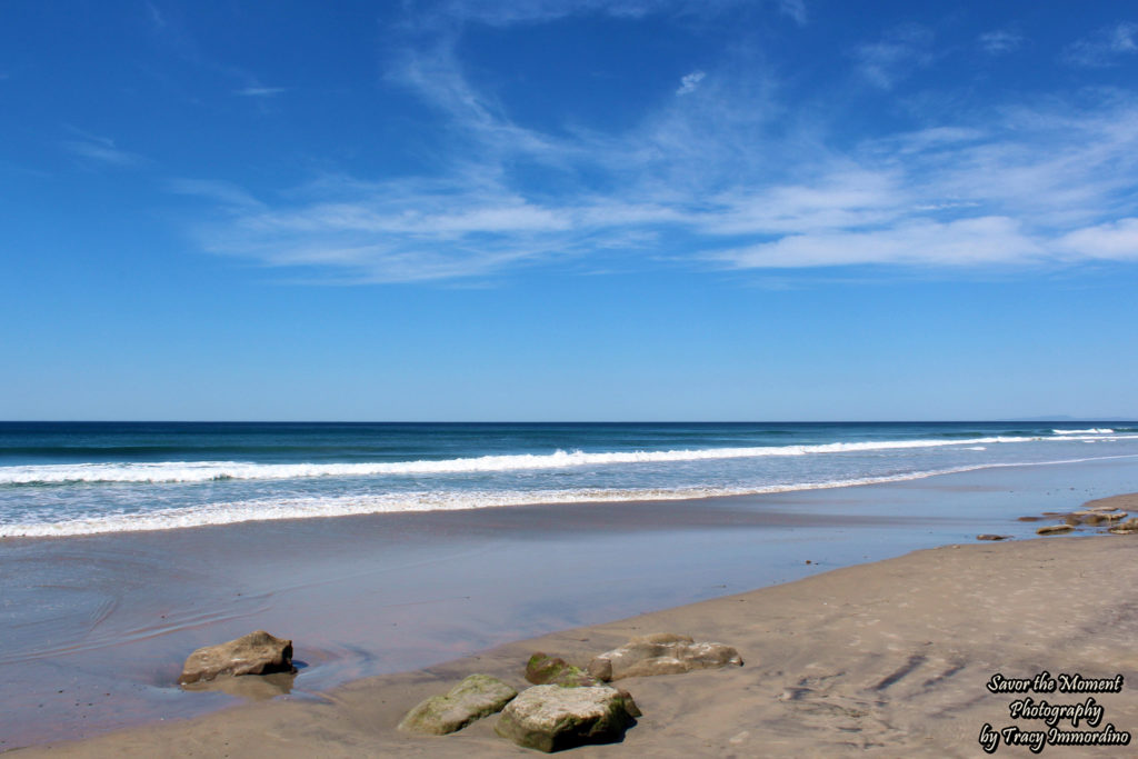 The Beach at Torrey Pines State Natural Reserve