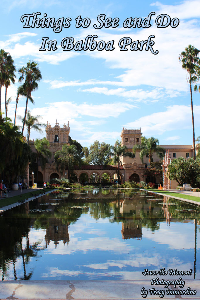 Things to See and Do In Balboa Park