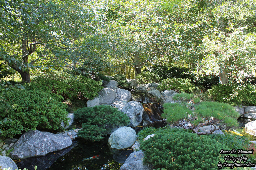 The Japanese Friendship Garden