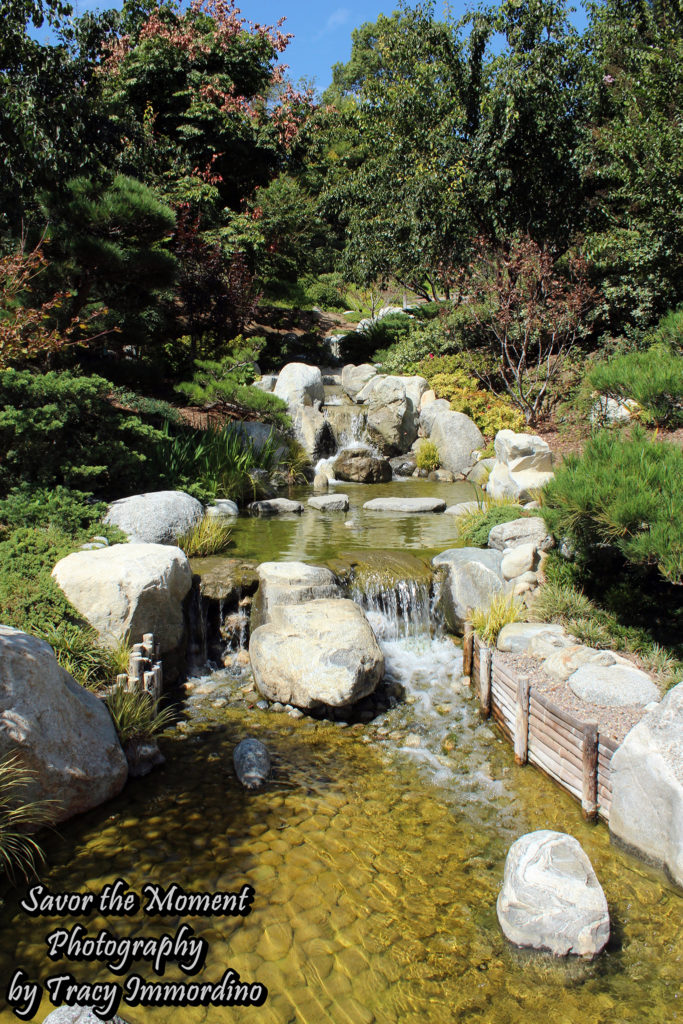 Japanese Friendship Garden, Balboa Park