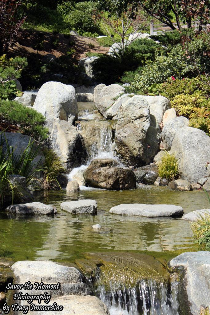 The Japanese Friendship Garden