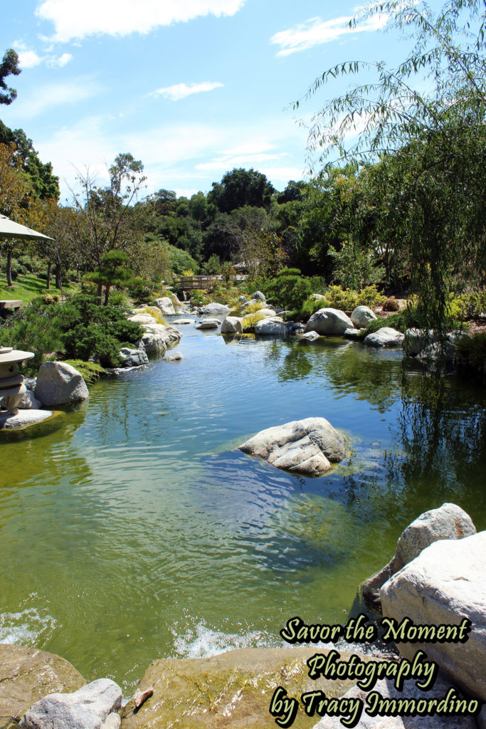 The Japanese Friendship Garden