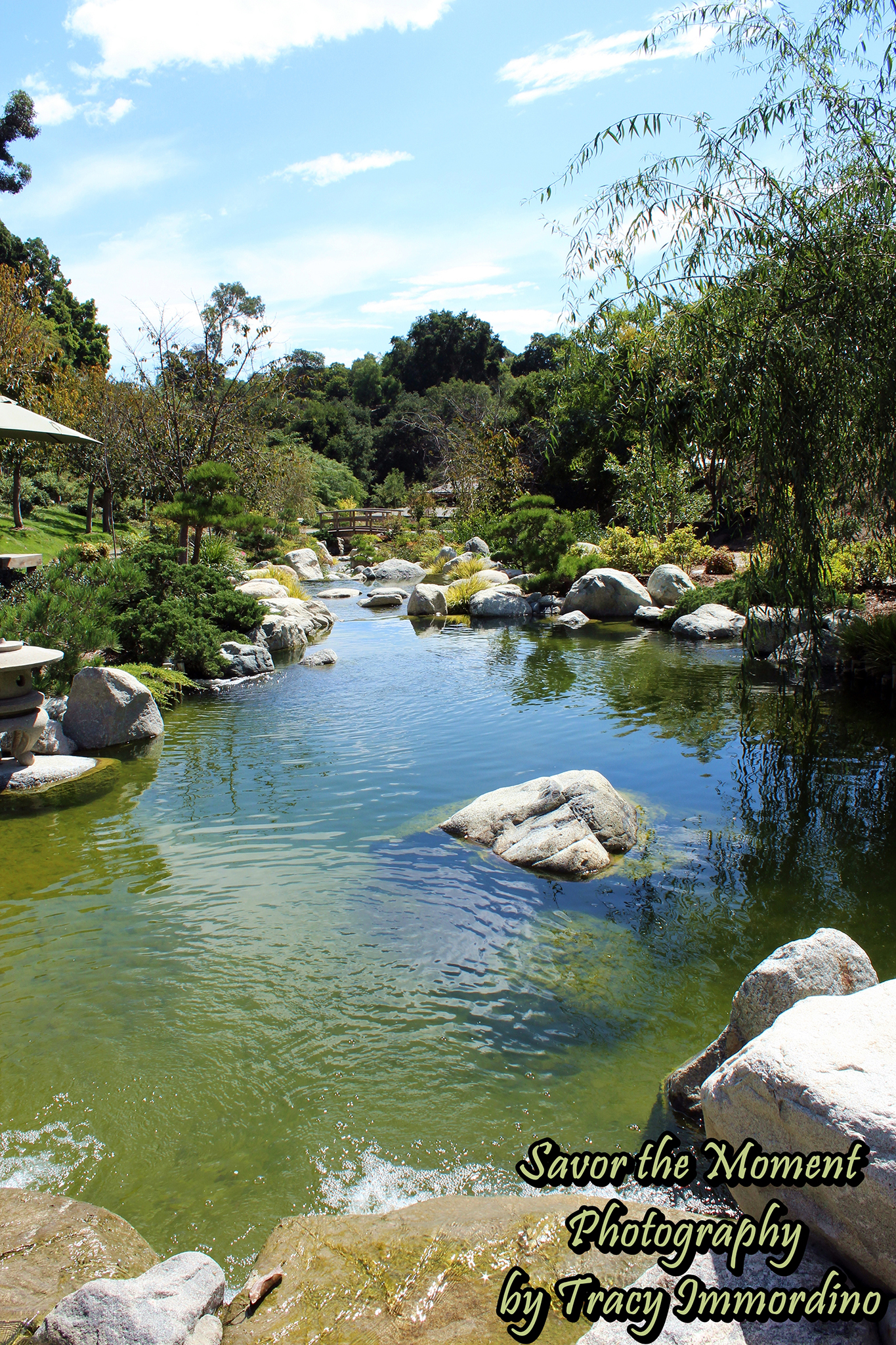 The Japanese Friendship Garden Savor the Moment Photography