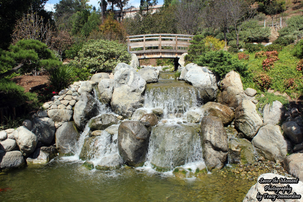 The Japanese Friendship Garden