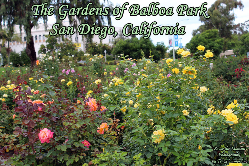 The Gardens of Balboa Park