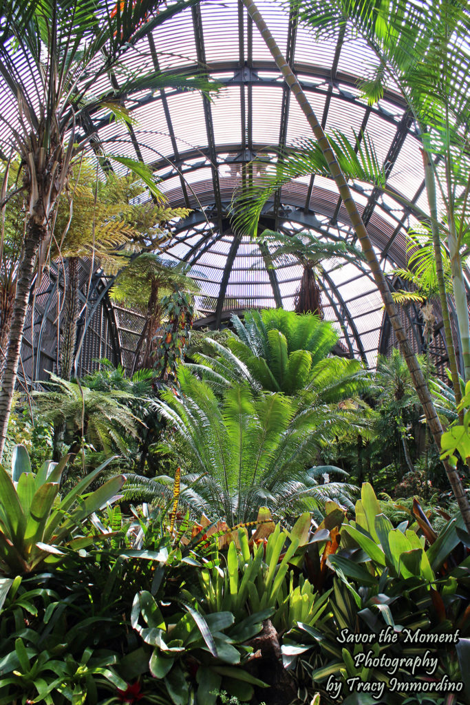 The Botanical Building