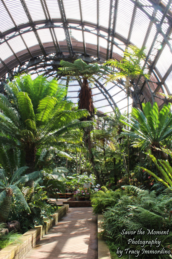 The Botanical Building