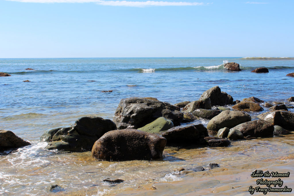 Point Loma ~ Low Tide