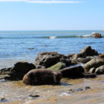 Point Loma ~ Low Tide