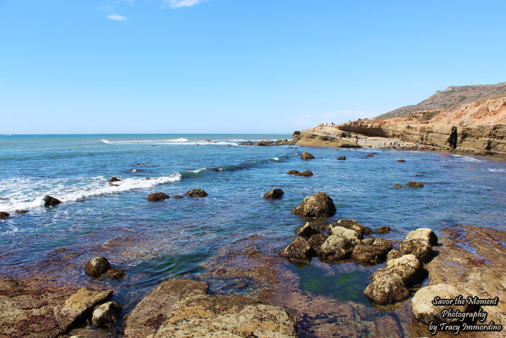 Point Loma Tide Pools