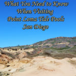 What You Need to Know When Visiting Point Loma Tide Pools