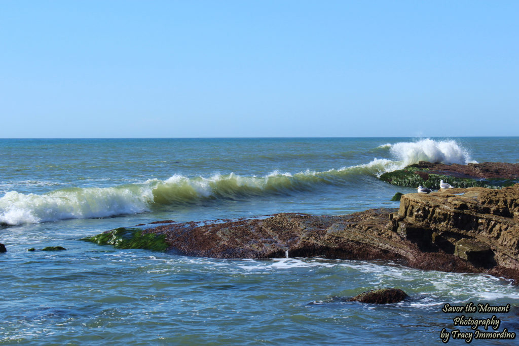 Point Loma Tide Pools