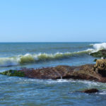 Point Loma Tide Pools