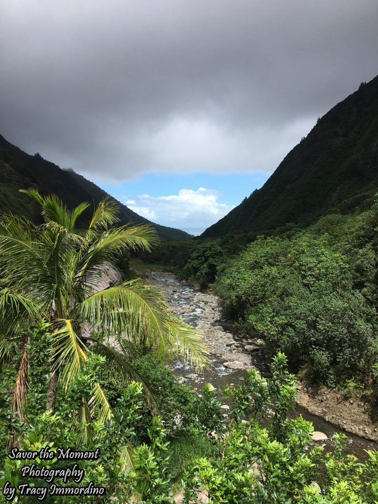Iao Valley State Monument Park