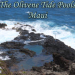 The Olivene Tide Pools