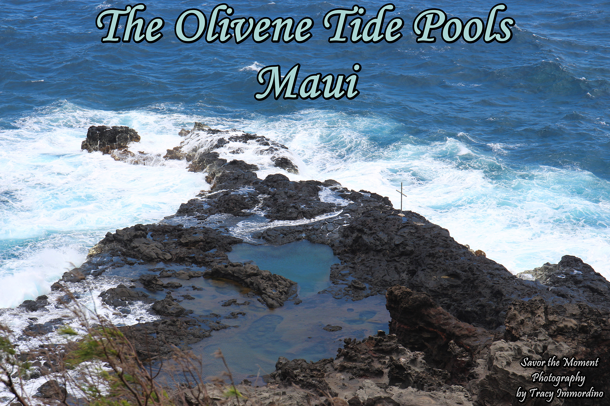 The Olivene Tide Pools