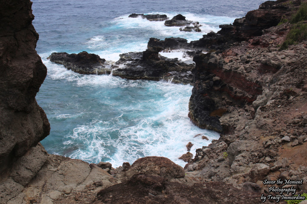 The Shoreline Near the Olivene Pools