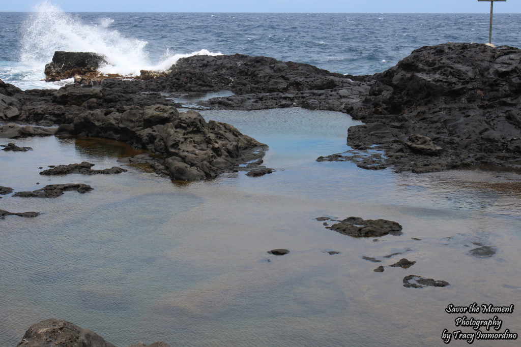 The Largest Olivene Pool