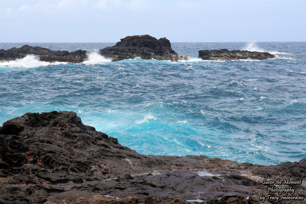 The Pacific Ocean Near the Olivene Pools