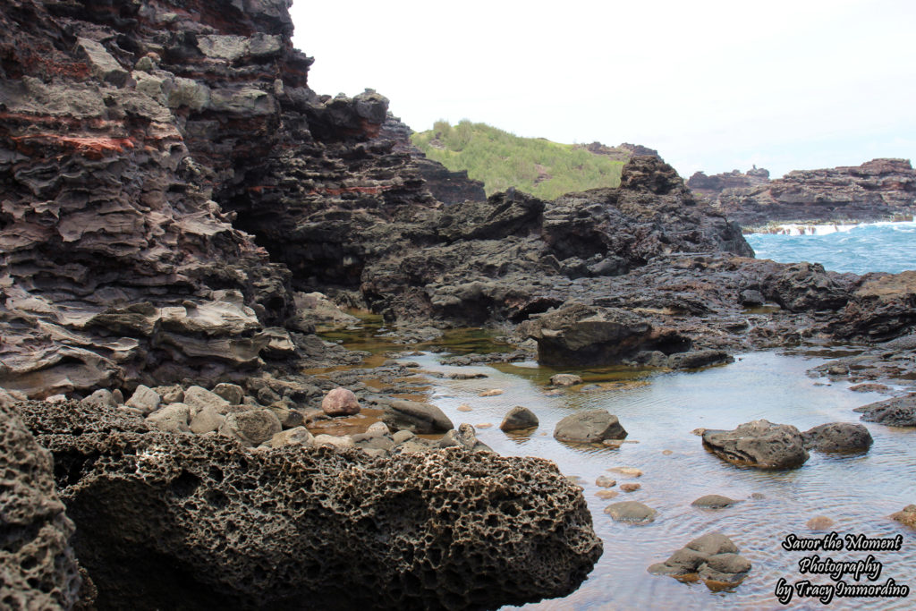 The Volcanic Rock Backdrop of the Olivene Tide Pools