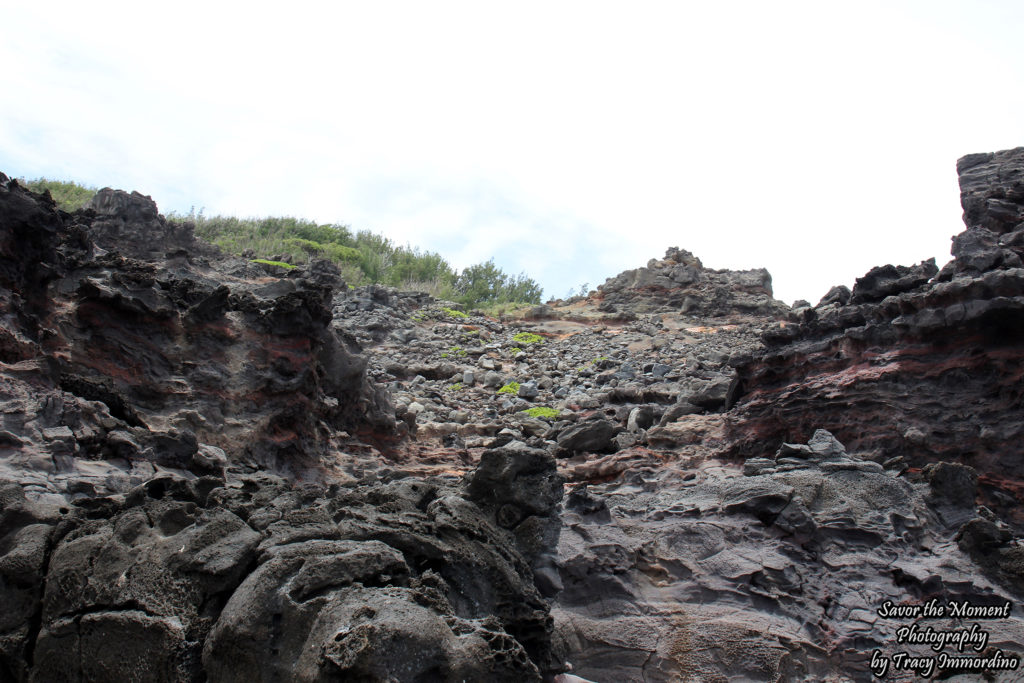 The Volcanic Rock Backdrop of the Olivene Pools