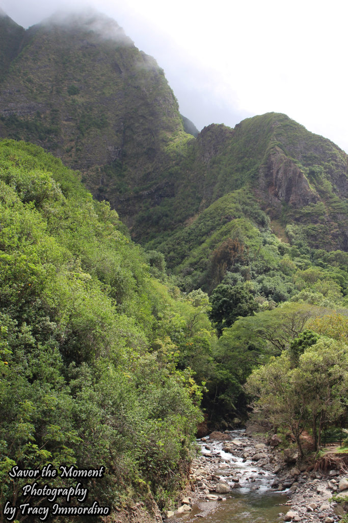 Iao Valley State Monument Park