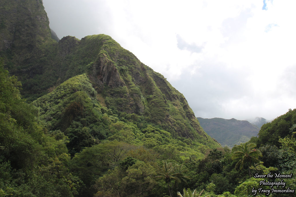 Iao Valley State Monument Park 