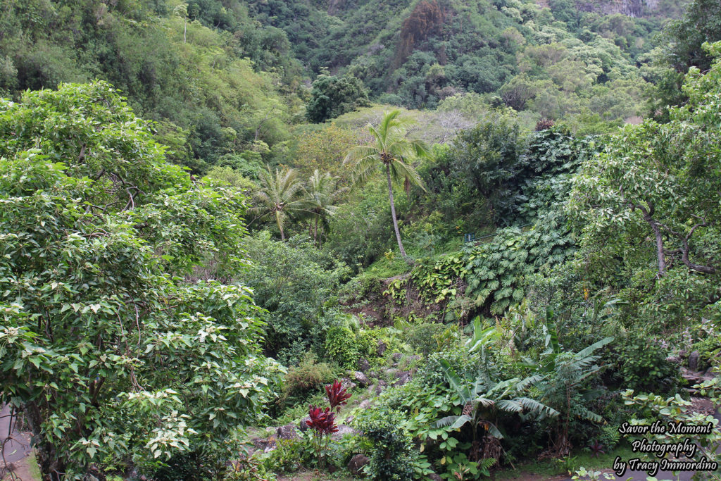 Iao Valley State Monument Park