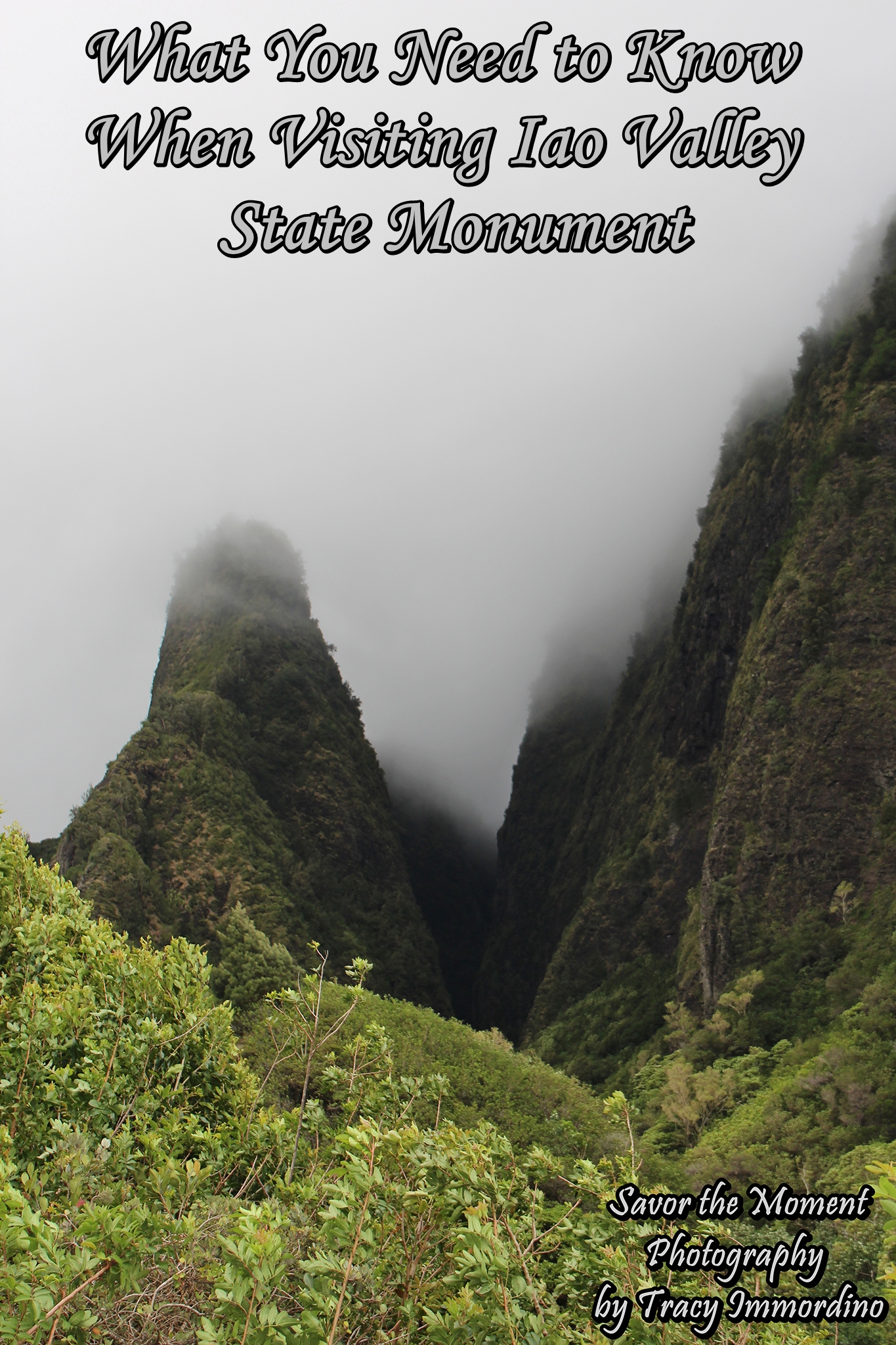 Visiting Iao Valley State Monument Park