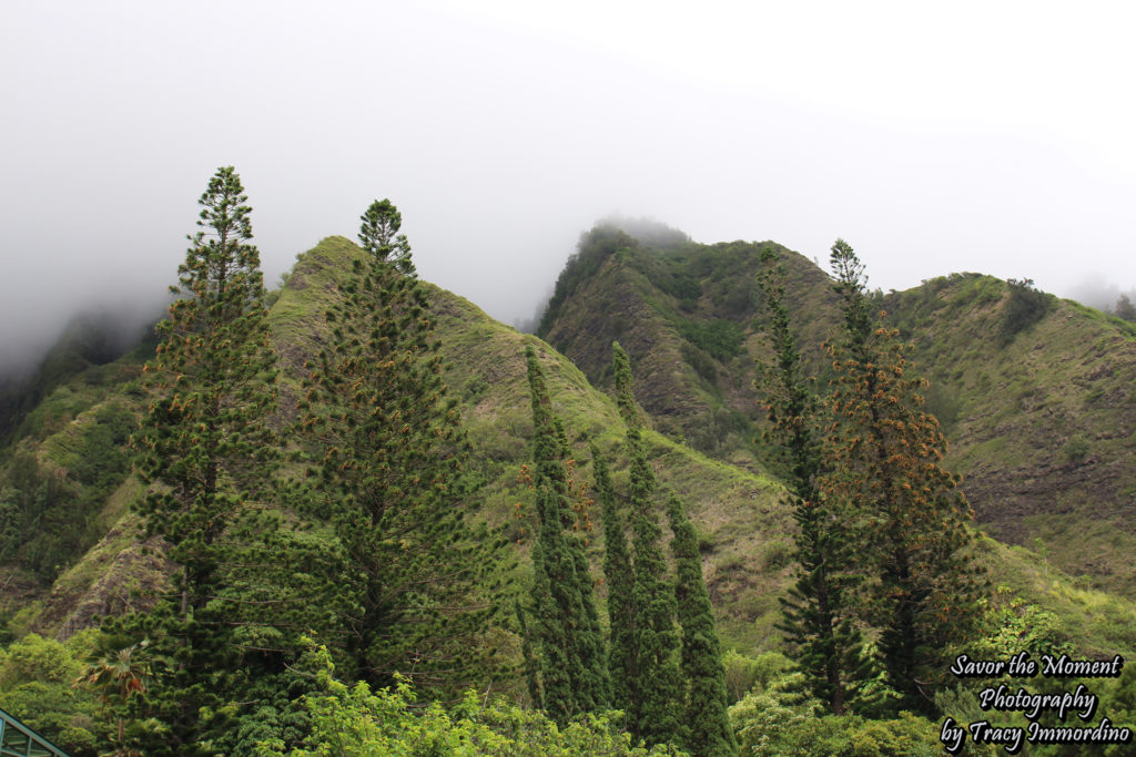 Kepaniwai Park in Maui