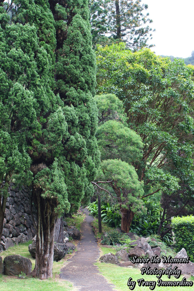 Walking Paths at Kepaniwai Park in Maui
