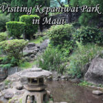 Japanese Garden in Kepaniwai Park, Maui