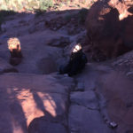 Hiking the Cathedral Rock Trail in Sedona, Arizona