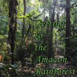 Getting to the Amazon Rainforest