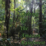 Getting to the Amazon Rainforest