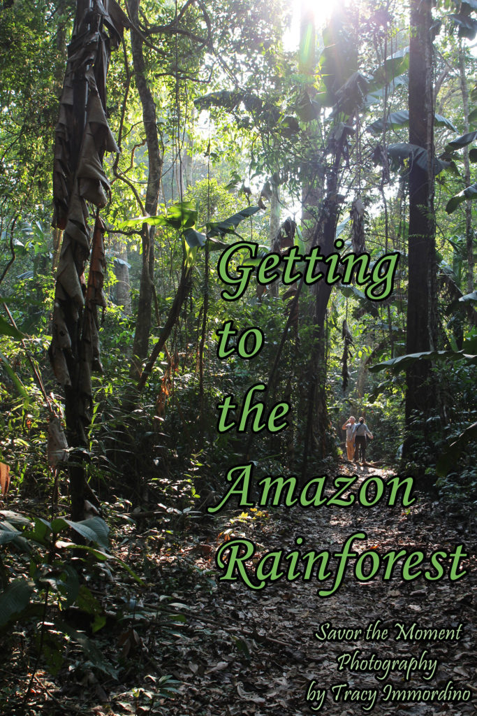 Getting to the Amazon Rainforest